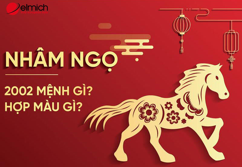 Người tuổi Nhâm Ngọ 2002 hợp màu gì và nên tránh màu gì?