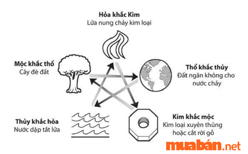 Mệnh thủy hợp mệnh gì và khắc mệnh gì? Chi tiết nhất 2023