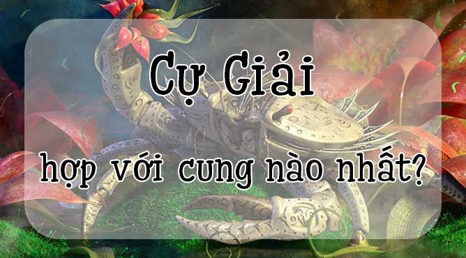 13/7 là cung gì - Sinh ngày 13/7 cung hoàng đạo nào - ngày 13 tháng 7 cung hoàng đạo nào