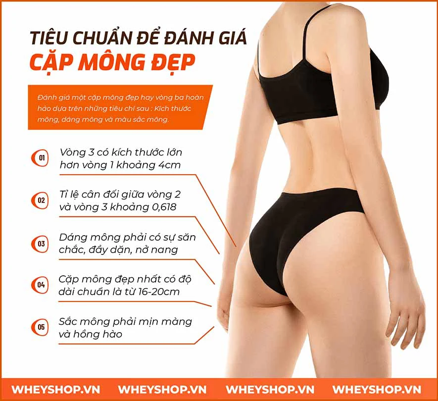 Top 81+ ảnh mông to đẹp nhất