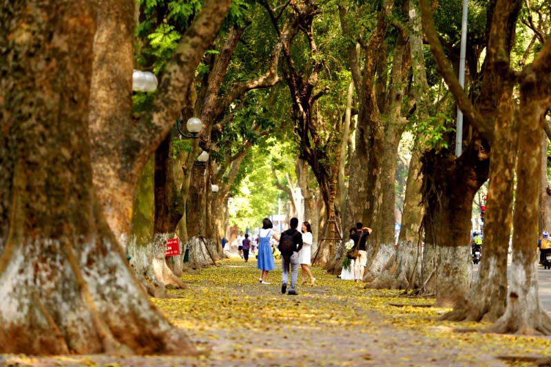 Hình ảnh mùa thu đẹp lãng mạn, ảnh mùa thu buồn đẹp nhất