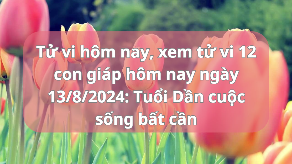 tu-vi-12-con-giap-13-8-2024-1723521822.png