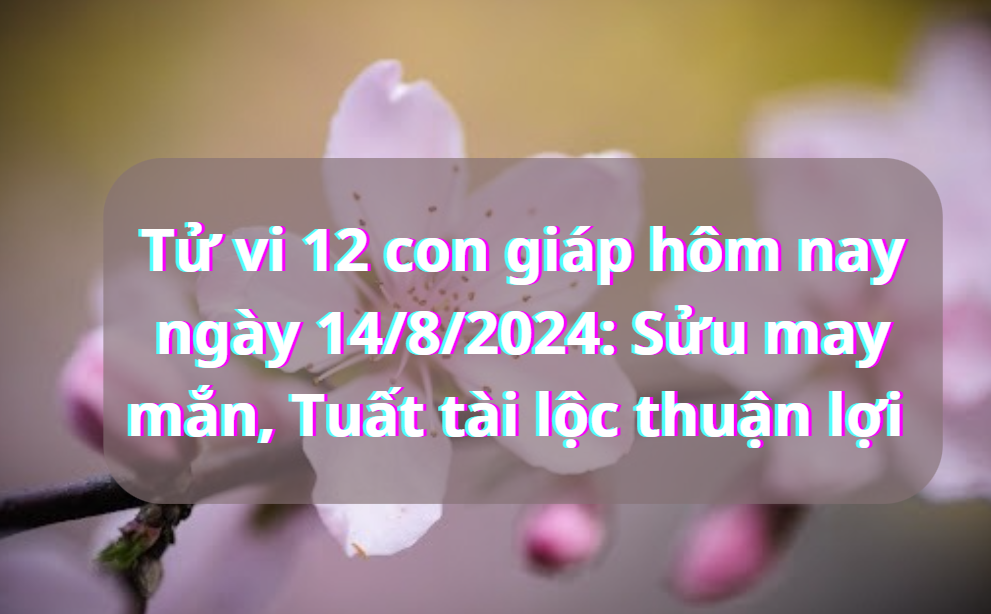 tu-vi-12-con-giap-14-8-2024-1723603049.png